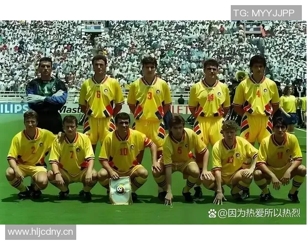 足球世界杯东道主备战进展与球迷热切期待的全景观察 足球世界杯东道主备战进展与球迷热切期待的全景观察