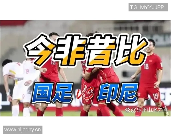 世界杯预选赛回应批评：我只专注于比赛